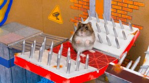 🐹Хомяк сбегает из Самого Опасного Тюремного лабиринта с Ловушками🔥