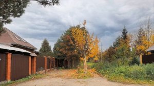 Осенний пирог