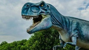 мое новое интро