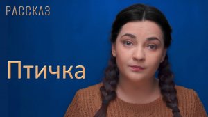 Птичка