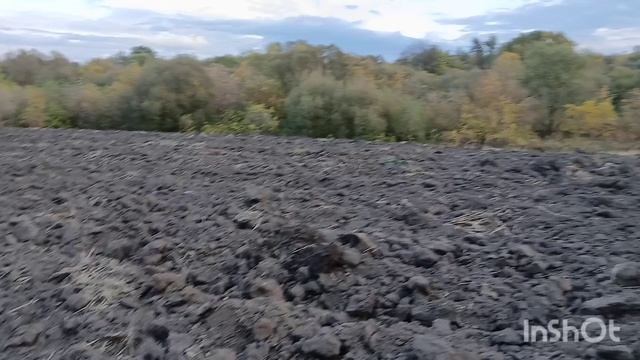 на этом поле всегда есть находки.  коп старины