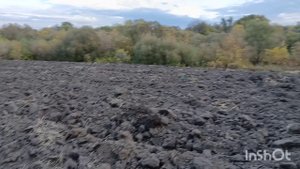 на этом поле всегда есть находки. коп старины
