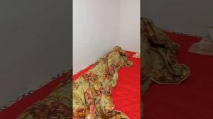 Скользящие двери.mp4