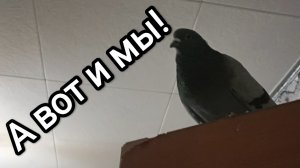 19-10-2025 Вот и мы!