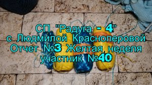 СП "Радуга - 4" с Людмилой Красноперовой. Отчет №3 Желтая неделя. Участник №40