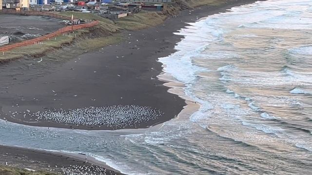 14.10.2025 смотреть онлайн