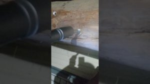 Гайковерт STEELTRUST 21в на что способен