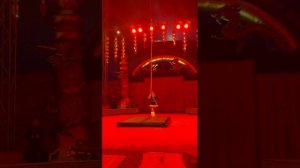 школа циркового искусства Мы из цирка.сидоренко марго.премьера 14 октября." Шамания