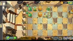 я не вижу причин думать то что ты один ведь ведь за тобой цветы защитят твои мозги