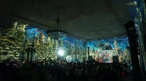 Елки в Пальме | Studio 22.12