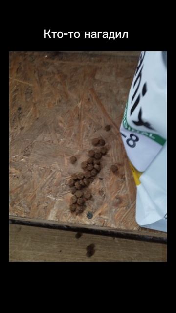 попробуй не не засмеяться Челлендж.mp4