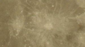 Полнолуние Года. Супер Луна в ночной тиши