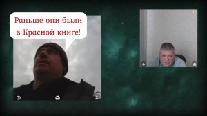 Про сайгаков и браконьеров 11.10.25
