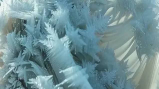 НОЯБРЬ--СКОРПИОН(таро)