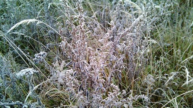 Иней 19.10.25 смотреть онлайн