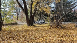 поехали новое место посмотреть