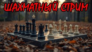 Шахматный стрим за новичка [ lichess.org ]