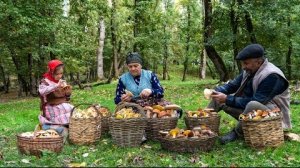 Осенние Лесные Грибы - Сбор И Маринование 🍁🍂