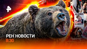 Нашествие медведей / Новые правила оплаты стоянки / Хлебный хит-парад / РЕН Новости 8:30, 19.10.25