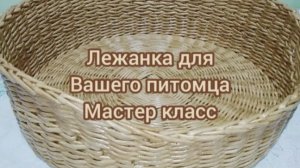 лежанка для животных, МК для начинающих