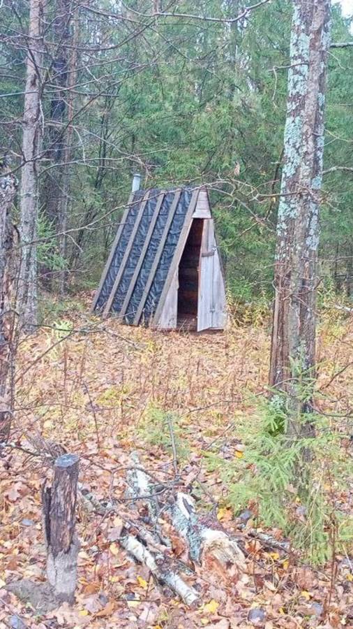 RAZA 52-001Семеновские леса