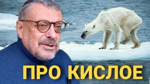 Андрей Девятов. Про кислое