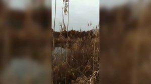 Любите жизнь