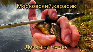 Московские карасики. Ловим на мушку