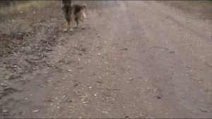 Немного стресанул