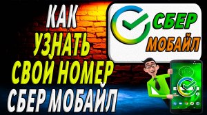 Как узнать свой номер сбер мобайл