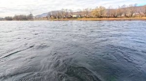 19 октября 2025 г