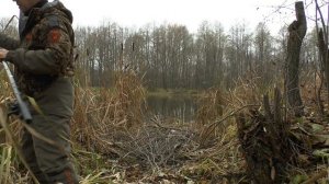 СМЕНИЛ 4 МЕСТА НАПАЛ НА КУЧКУ КАРАСЕЙ СВАРИЛ УХИ