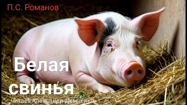 "Белая свинья" - Пантелеймон Романов.  Аудиокнига | Чтилум — Аудиокниги