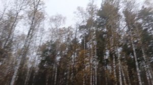 196.mp4