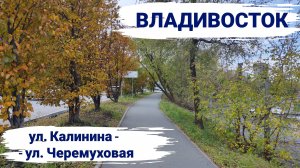 Владивосток октябрь 2025