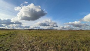 Поле. ч.11. Октябрь 2025