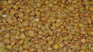 Салат с чечевицей и помидорами