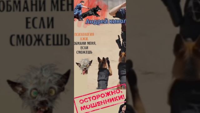 Проблема?Решаем проблема! смотреть онлайн