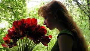 Фея Алайя с Эльзаса, 5 век н.э.