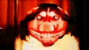 💀💀💀💀