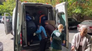 Лось вышел на прогулку в Москве у метро «Первомайская»