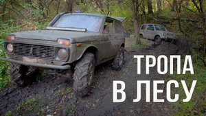 Пробиваемся по сложной лесной тропе