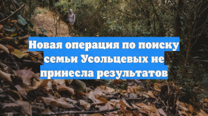 Новая операция по поиску семьи Усольцевых не принесла результатов