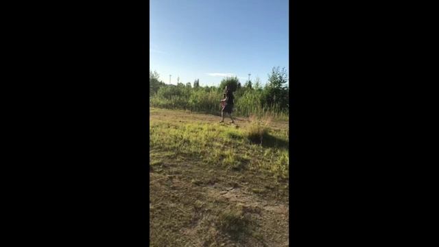 Кастинговая сеть! Американка! 5 метров!