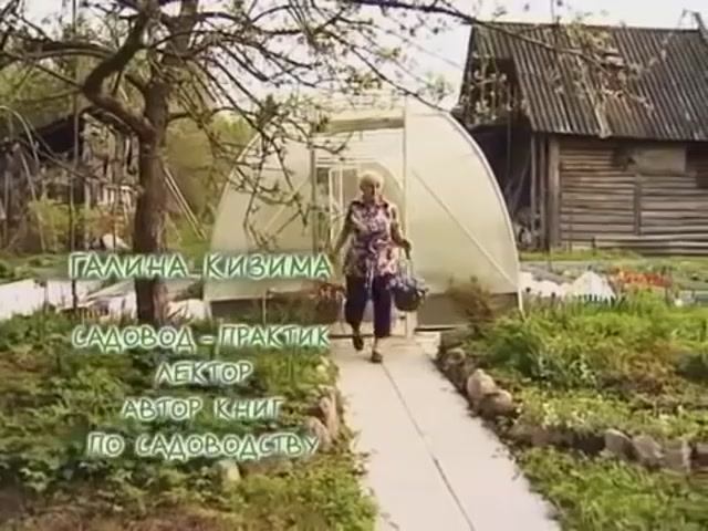 Огород без хлопот. Чередование культур