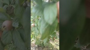 19 октября. Выходной день.