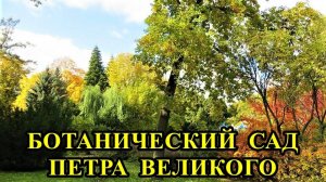 САНКТ-ПЕТЕРБУРГ:  БОТАНИЧЕСКИЙ  САД  ПЕТРА  ВЕЛИКОГО