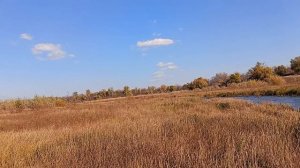 чуть-чуть плаваем