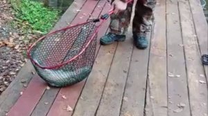 Утро на спорт-зоне. Клёвое место лосиный остров.