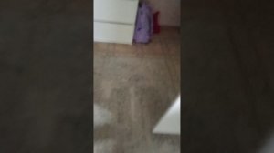 1000001960.mp4